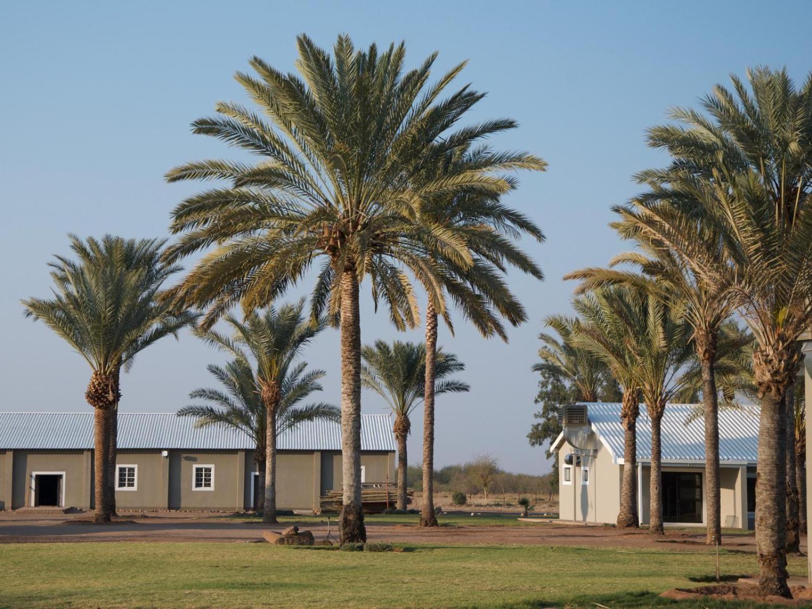 Flying Ostrich Guesthouse & Self-Catering Accommodation Mariental Exterior photo